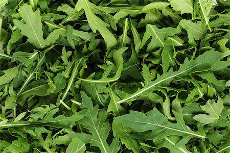 simsearch:400-05678242,k - fresh arugula, background from fresh green leaves Foto de stock - Super Valor sin royalties y Suscripción, Código: 400-07112357