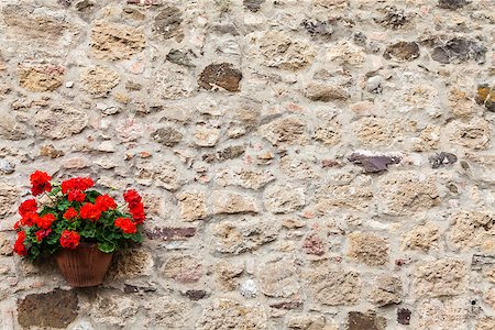 Pienza, Tuscany region, Italy. Old wall with flowers Stock Photo - Budget Royalty-Free & Subscription, Code: 400-07112609
