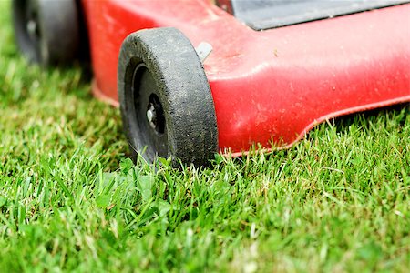 simsearch:400-05318999,k - Detail of lawnmower on green grass in sunny day Photographie de stock - Aubaine LD & Abonnement, Code: 400-07112856