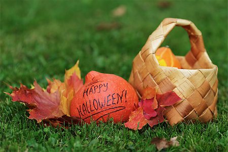 simsearch:400-08776231,k - Halloween pumpkin with basket and leaves, on grass Stockbilder - Microstock & Abonnement, Bildnummer: 400-07112987