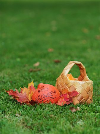 simsearch:400-08776231,k - Halloween pumpkin with basket and leaves, on grass Stockbilder - Microstock & Abonnement, Bildnummer: 400-07112988