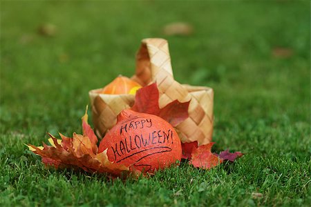 simsearch:400-08776231,k - Halloween pumpkin with basket and leaves, on grass Stockbilder - Microstock & Abonnement, Bildnummer: 400-07112989
