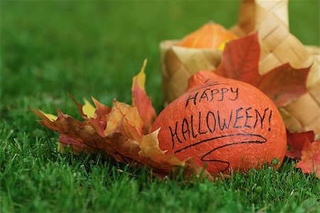 simsearch:400-08776231,k - Halloween pumpkin with basket and leaves, on grass Stockbilder - Microstock & Abonnement, Bildnummer: 400-07112990