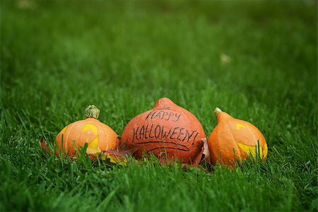 simsearch:400-08776231,k - three Halloween pumpkins on green grass, horizontal photo Stockbilder - Microstock & Abonnement, Bildnummer: 400-07112991