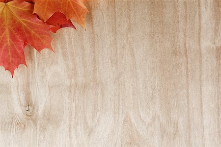 simsearch:400-07298791,k - autumn maple leaves on wood surface, horizontal Stockbilder - Microstock & Abonnement, Bildnummer: 400-07113007
