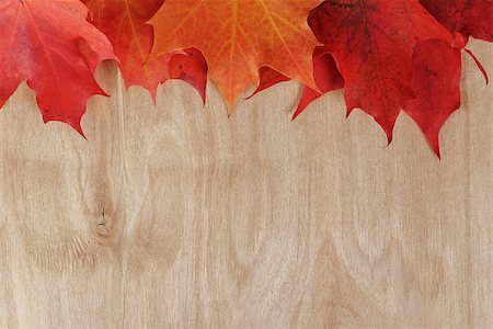 simsearch:400-07298791,k - autumn maple leaves on wood surface, horizontal Stockbilder - Microstock & Abonnement, Bildnummer: 400-07113008