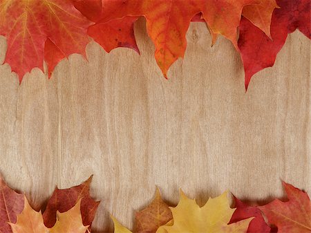 simsearch:400-07298791,k - autumn maple leaves on wood surface, horizontal Stockbilder - Microstock & Abonnement, Bildnummer: 400-07113009