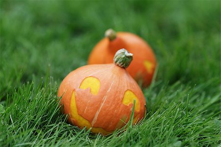 simsearch:400-08776231,k - two Halloween pumpkins walking on grass, horizontal photo Stockbilder - Microstock & Abonnement, Bildnummer: 400-07113002