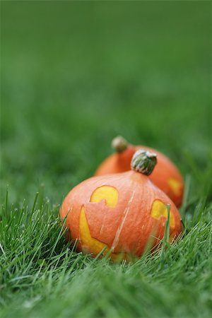 simsearch:400-08776231,k - two Halloween pumpkins walking on grass, vertical photo Stockbilder - Microstock & Abonnement, Bildnummer: 400-07113003