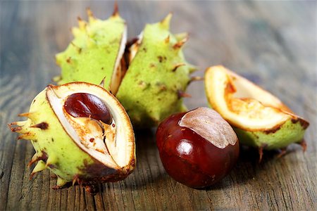 Ripe chestnuts on an old wooden board. Photographie de stock - Aubaine LD & Abonnement, Code: 400-07113356