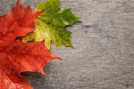 simsearch:400-07298791,k - autumn maple leaves on wood surface, horizontal Stockbilder - Microstock & Abonnement, Bildnummer: 400-07113434