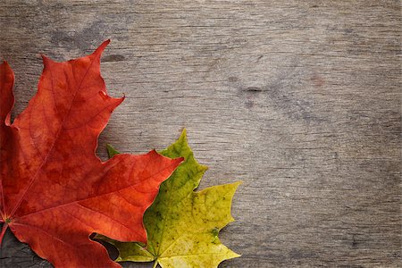 simsearch:400-07298791,k - autumn maple leaves on wood surface, horizontal Stockbilder - Microstock & Abonnement, Bildnummer: 400-07113435