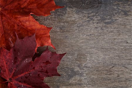 simsearch:400-07298791,k - autumn maple leaves on wood surface, horizontal Stockbilder - Microstock & Abonnement, Bildnummer: 400-07113431