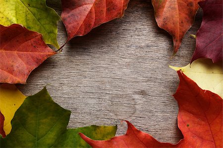 simsearch:400-07298791,k - frame from autumn maple leaves on wood surface, horizontal Stockbilder - Microstock & Abonnement, Bildnummer: 400-07113446