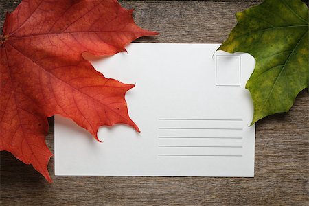 simsearch:400-07298791,k - autumn maple leaves on wood surface with paper card, horizontal Stockbilder - Microstock & Abonnement, Bildnummer: 400-07113450