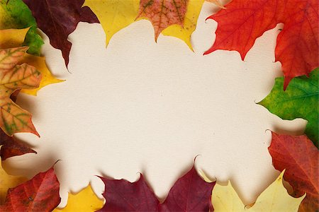 simsearch:400-07298791,k - autumn maple leaves on paper surface, horizontal Stockbilder - Microstock & Abonnement, Bildnummer: 400-07113451
