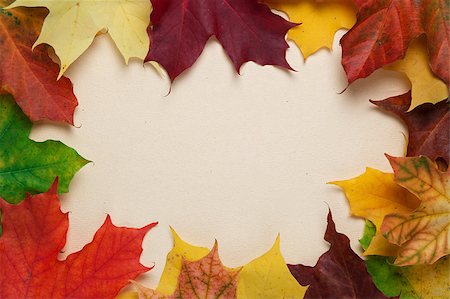 simsearch:400-07298791,k - autumn maple leaves on paper surface, horizontal Stockbilder - Microstock & Abonnement, Bildnummer: 400-07113452