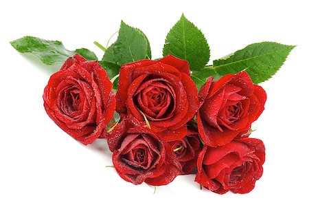 simsearch:400-08011307,k - Bunch of Beauty Perfect Red Roses with Water Droplets and Leafs isolated on white background Stock Photo - Budget Royalty-Free & Subscription, Code: 400-07124051