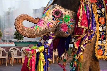 Jaipur, Rajasthan,India - March 29 : people and elephants of the city are celebrating the gangaur festival one of the most important of the year march 29 2009 in jaipur,rajasthan,india Photographie de stock - Aubaine LD & Abonnement, Code: 400-07124356