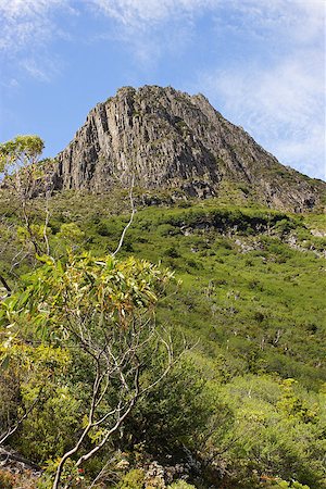 Cradle Mountain Lake St. Clair National Park, Tasmania, Australia Foto de stock - Royalty-Free Super Valor e Assinatura, Número: 400-07124398