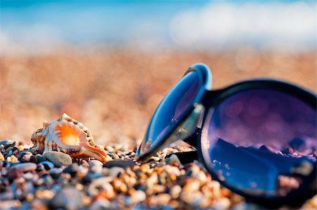 simsearch:400-04241229,k - Sunglasses and shells lie on the shingle beach sea Fotografie stock - Microstock e Abbonamento, Codice: 400-07124744