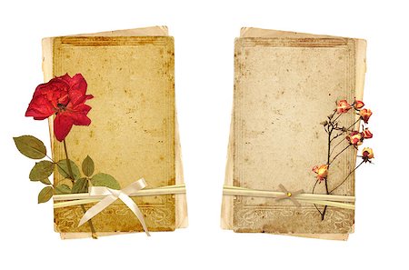 dry corrosion - Old cards and dried rose. Collection for scrapbooking design. Isolated on white background Stock Photo - Budget Royalty-Free & Subscription, Code: 400-07125314