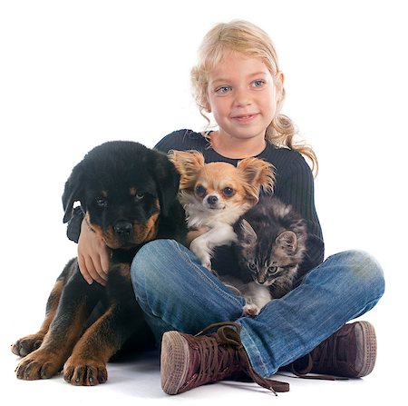 perro travieso - young girl, rottweiler and chihuahua in front of white background Foto de stock - Super Valor sin royalties y Suscripción, Código: 400-07125371