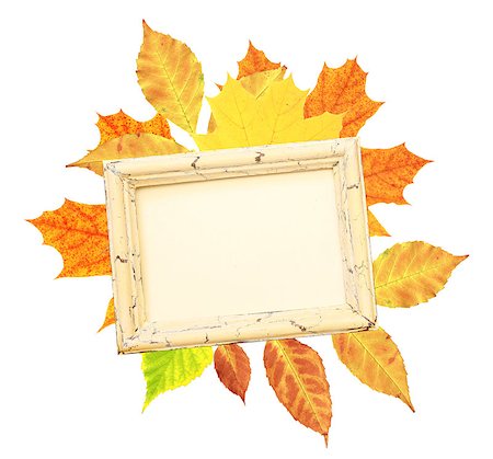 simsearch:400-05735209,k - Autumn leaves and wooden frame. Isolated on white background Stock Photo - Budget Royalty-Free & Subscription, Code: 400-07125538