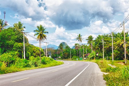simsearch:400-07295714,k - asphalt highway in jungle wit mount, Krabi, Thailand Stock Photo - Budget Royalty-Free & Subscription, Code: 400-07123130