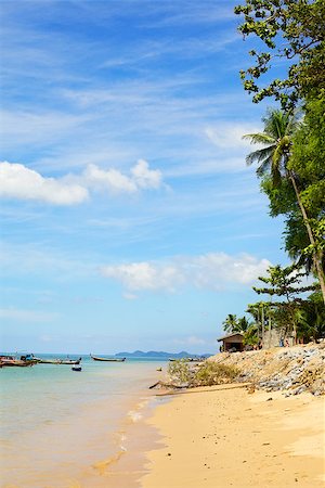 simsearch:400-08012860,k - tropical sand beach in Andaman Sea, Thailand Stock Photo - Budget Royalty-Free & Subscription, Code: 400-07123149