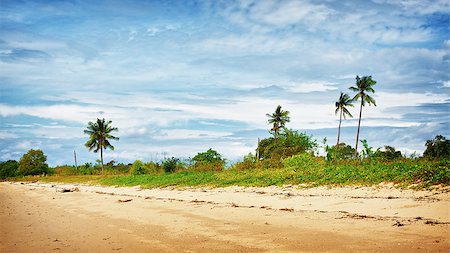 simsearch:400-05892265,k - sand beach with palms, Andaman Sea, Thailand Stock Photo - Budget Royalty-Free & Subscription, Code: 400-07123158