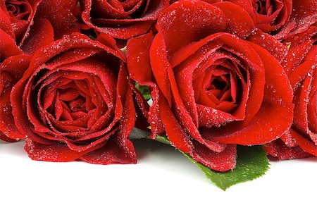 simsearch:400-08011307,k - Frame of Beautiful Red Roses with Water Droplets isolated on white background Stock Photo - Budget Royalty-Free & Subscription, Code: 400-07123266