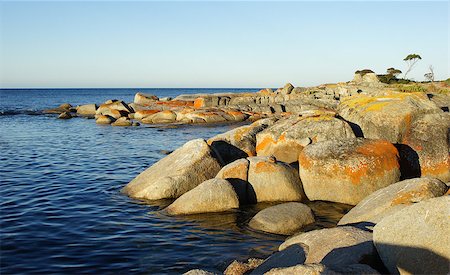 Bay of Fires, one of the most beautiful beaches of the world. Tasmania, Australia Foto de stock - Super Valor sin royalties y Suscripción, Código: 400-07123404