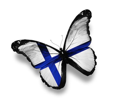 Finnish flag butterfly, isolated on white Stock Photo - Budget Royalty-Free & Subscription, Code: 400-07123899