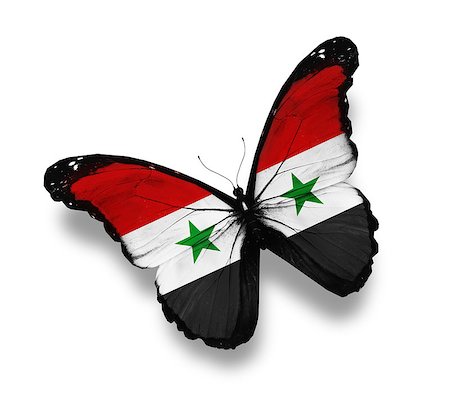 Syrian flag butterfly, isolated on white Stock Photo - Budget Royalty-Free & Subscription, Code: 400-07123904