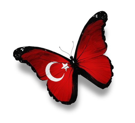 Turkish flag butterfly, isolated on white Stock Photo - Budget Royalty-Free & Subscription, Code: 400-07123908