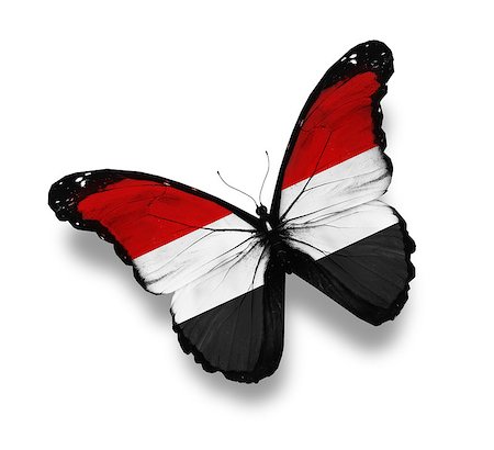 Yemeni flag butterfly, isolated on white Stock Photo - Budget Royalty-Free & Subscription, Code: 400-07123900