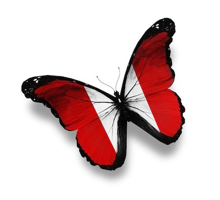 Peruvian flag butterfly, isolated on white Stock Photo - Budget Royalty-Free & Subscription, Code: 400-07123901