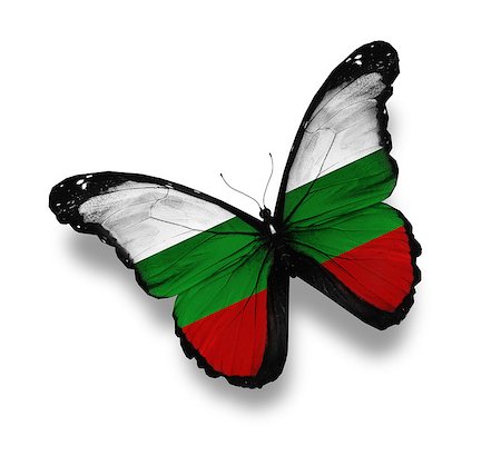 Bulgarian flag butterfly, isolated on white Stock Photo - Budget Royalty-Free & Subscription, Code: 400-07123902