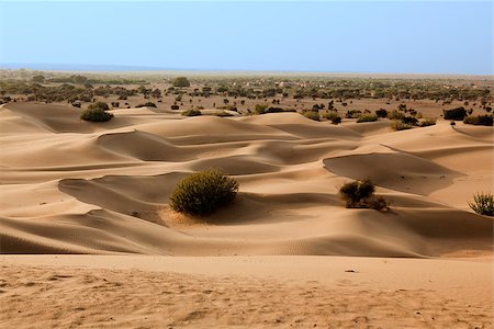 rajasthan natural scenery - khuri dunes in thar desert near jaisalmer in rajasthan state in india Stock Photo - Budget Royalty-Free & Subscription, Code: 400-07123976