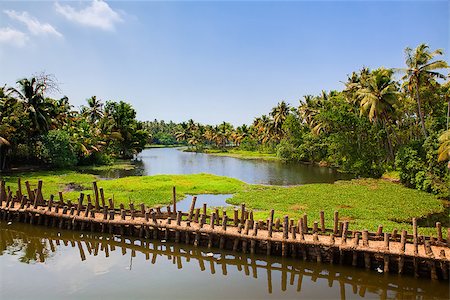 simsearch:400-07124005,k - backwaters of cochin in Kerala state india Stockbilder - Microstock & Abonnement, Bildnummer: 400-07123982