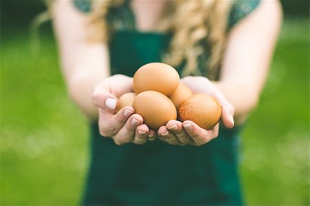 egg and farm - Young woman showing eggs standing on a lawn Stock Photo - Budget Royalty-Free & Subscription, Code: 400-07139649