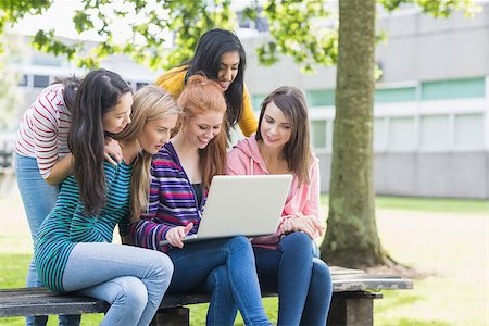 Group of young college girls using laptop in the park Stock Photo - Budget Royalty-Free & Subscription, Code: 400-07142623