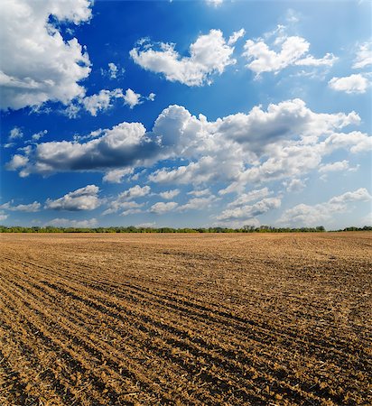 simsearch:400-07429043,k - ploughed field under deep blue sky with clouds Foto de stock - Royalty-Free Super Valor e Assinatura, Número: 400-07165917