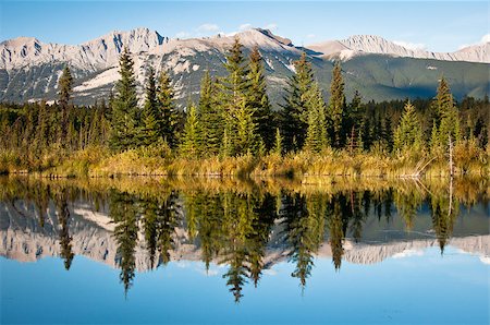 pines lake canada - Jasper National Park Stock Photo - Budget Royalty-Free & Subscription, Code: 400-07166067