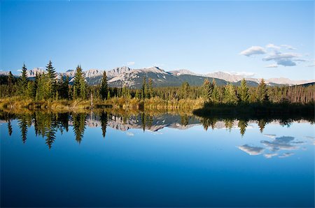 pines lake canada - Jasper National Park Stock Photo - Budget Royalty-Free & Subscription, Code: 400-07166068