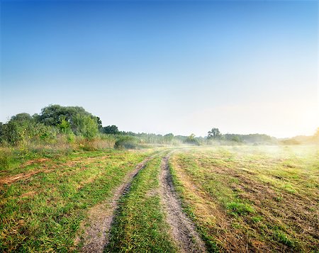 simsearch:400-07189007,k - Fog over the road at sunrise in the morning Fotografie stock - Microstock e Abbonamento, Codice: 400-07166268