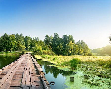 Bridge over a swampy river on sunrise Stock Photo - Budget Royalty-Free & Subscription, Code: 400-07166261