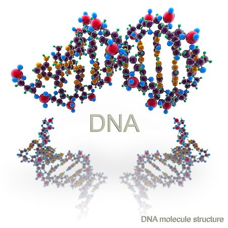 simsearch:400-08406439,k - Molecule structure of DNA Stock Photo - Budget Royalty-Free & Subscription, Code: 400-07167223