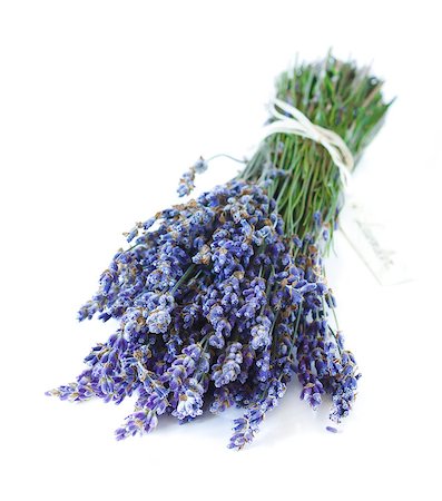 simsearch:400-03928421,k - Bunch of aromatic lavender flowers on a white. Stockbilder - Microstock & Abonnement, Bildnummer: 400-07167332